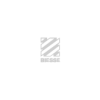 Biesse